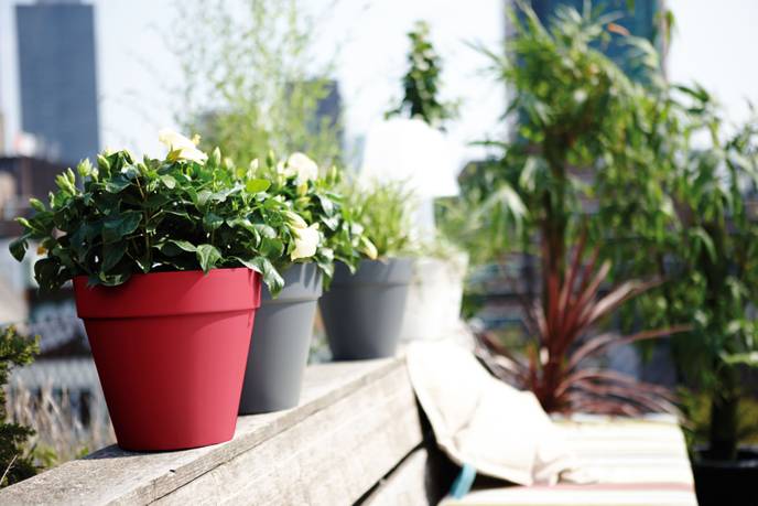 loft urban rond 20cm fruits rouges